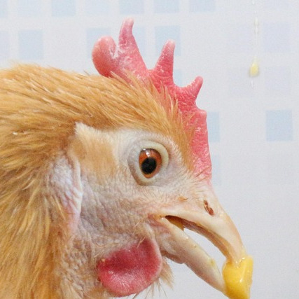 stove oven range kitchen